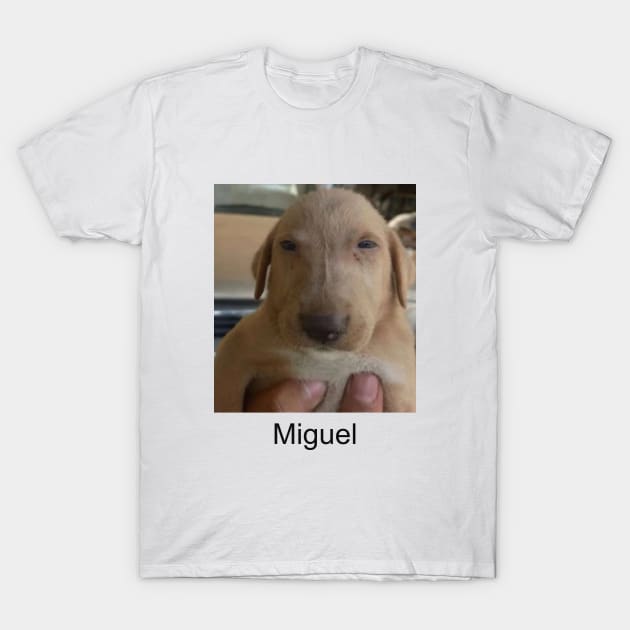 Miguel meme shitpost unisex T-Shirt by Hamza Froug